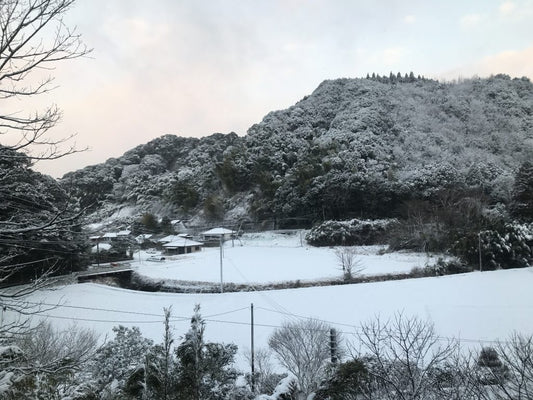 朝起きたら銀世界でした